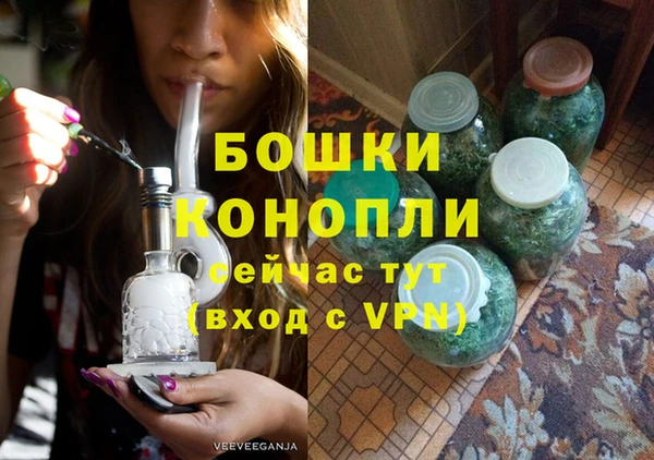 дживик Ступино