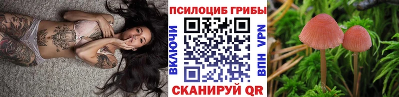 Псилоцибиновые грибы Psilocybine cubensis  Певек 